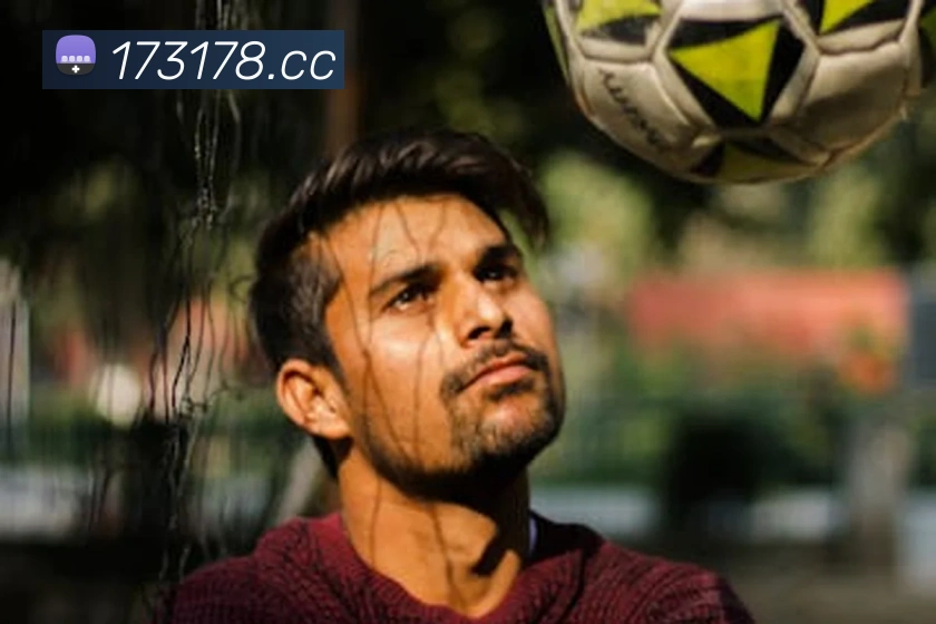 奖项证书
